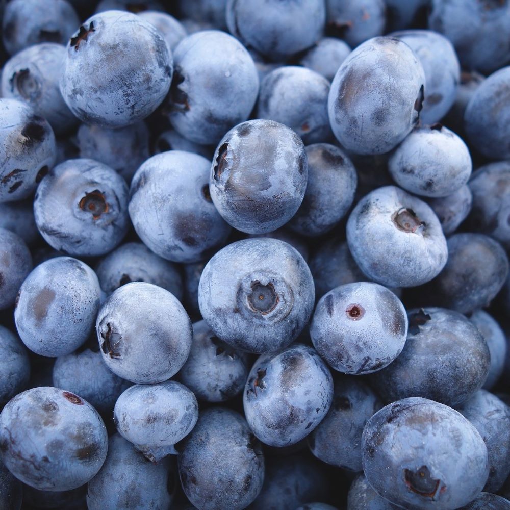 Kék, fürtös áfonya (Vaccinium corymbosum 'Denise Blue')